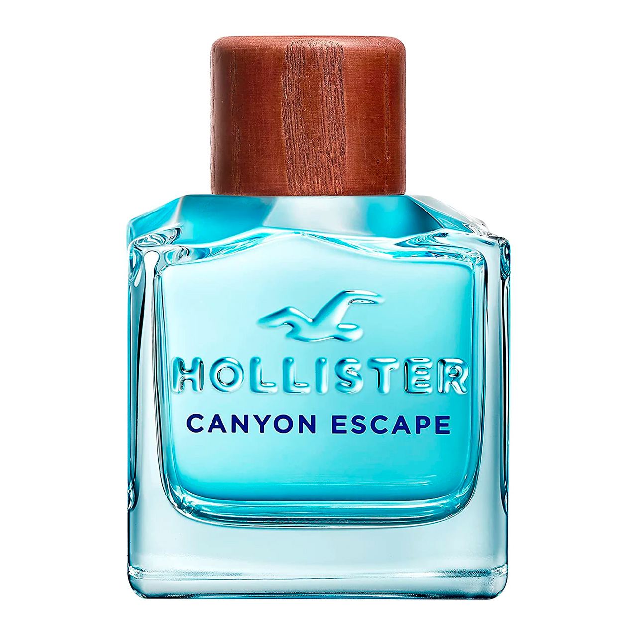 perfume hollister canyon escape 100ml agua de tocador hombre 3