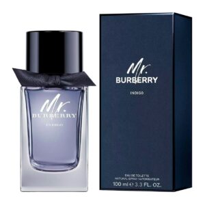 perfume mr burberry indigo agua de tocador 100 ml hombre